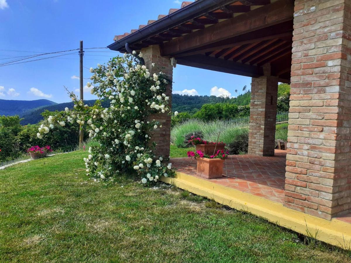 Dimora Degli Angeli Villa คิอานนี ภายนอก รูปภาพ